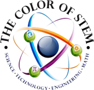 thecolorofstem.com