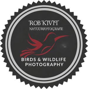 Rob Kivit