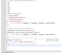 CSS Style.png